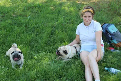 Zwierzakowa Behawiorysta Paulina Cymer